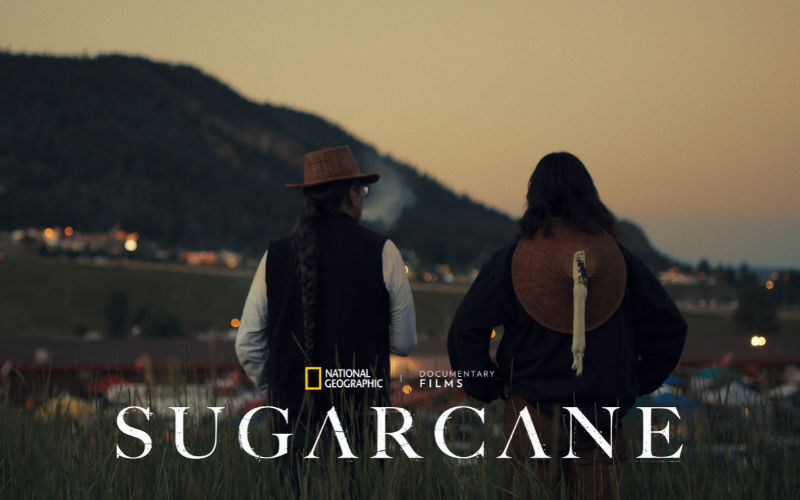 Sugarcane