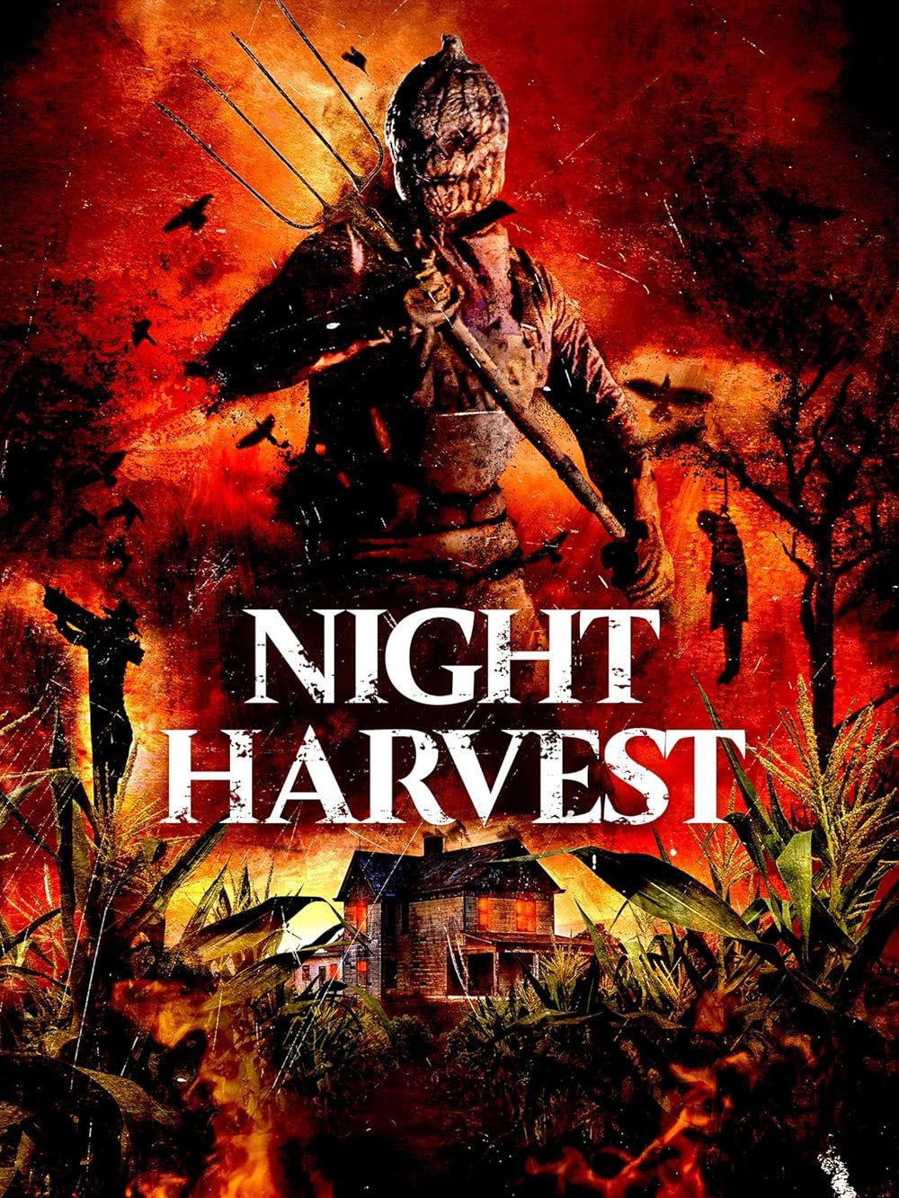 Night-Harvest