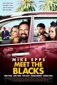 Meet-the-Blacks-(2016)