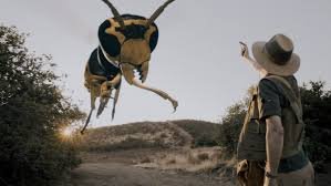 Big-Bad-Bugs-(2012)