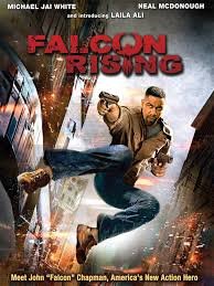 Falcon-Rising-(2014)
