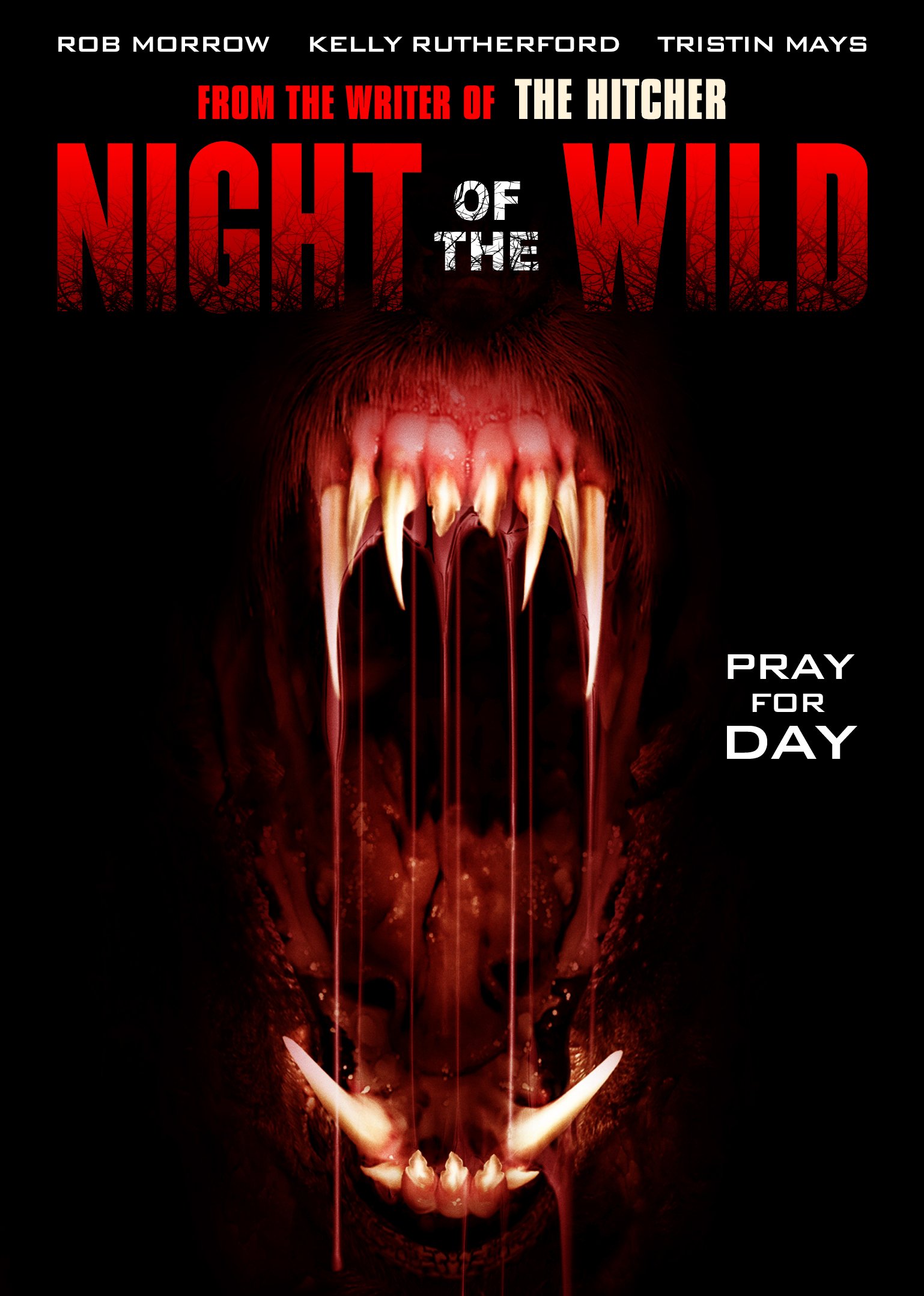 Night Of The Wild (2015)